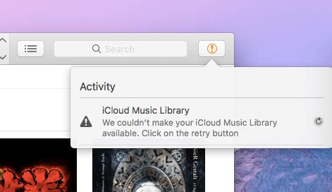 We Couldn't Make Your iCloud Music Library Available: A Multi-perspective Analysis